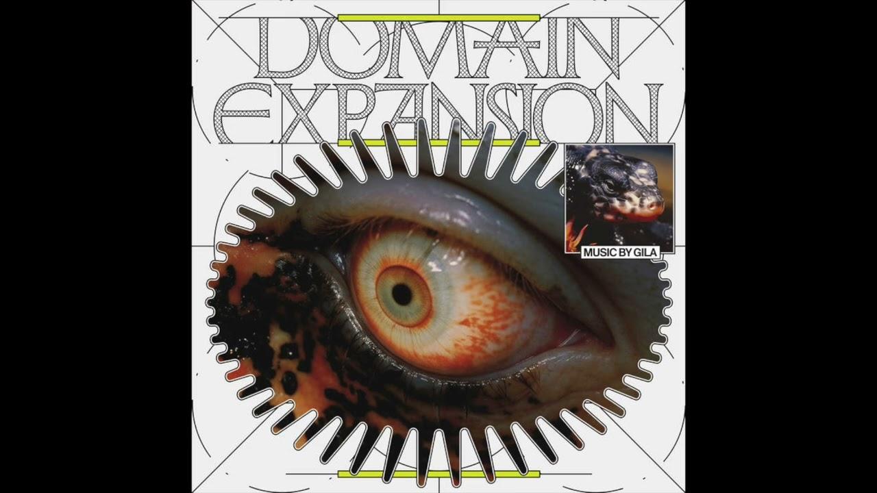 Domain Expansion - GILA
