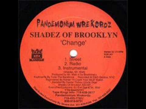 Change / When It Rains It Pours (Survival Warz!) - Shadez of Brooklyn