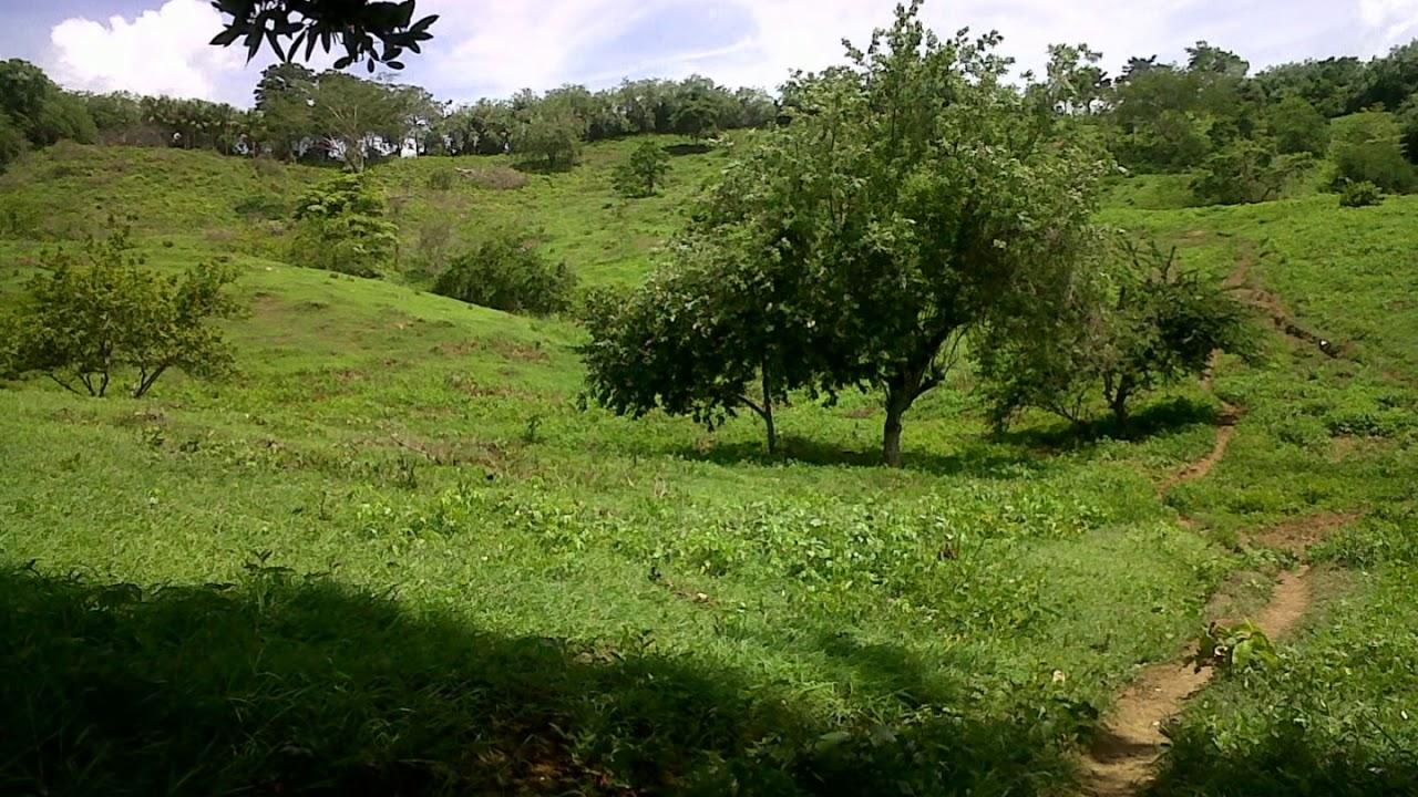  - Corraleros 