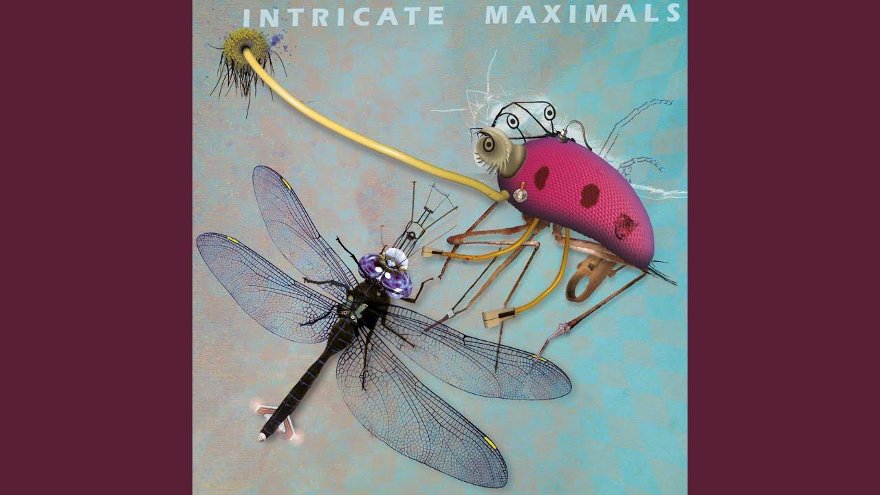 Intricate Maximals - Disastrato