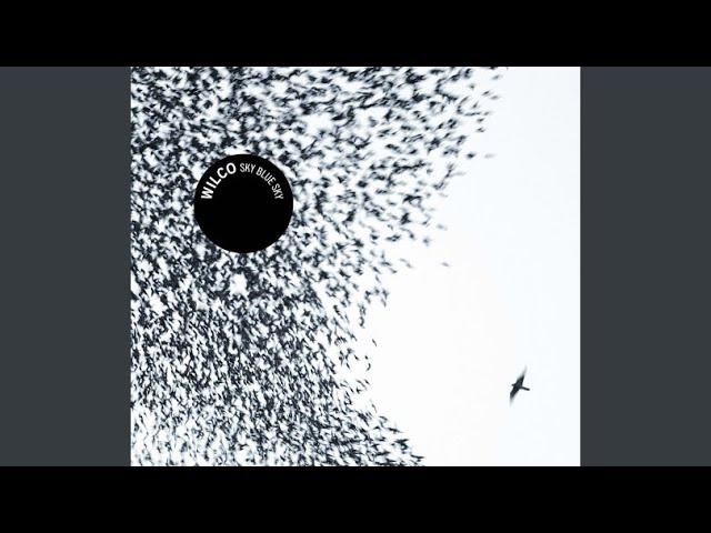 Sky Blue Sky - Wilco