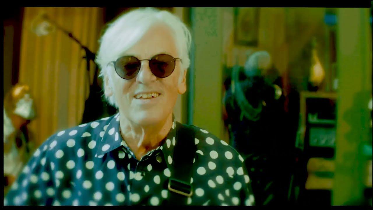 The Confuser - ROBYN HITCHCOCK