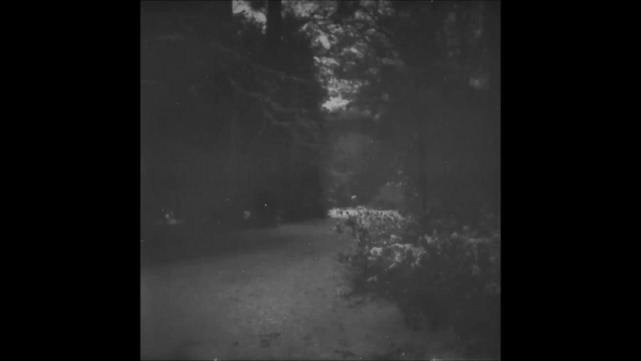 DR666 - EP - Glaring