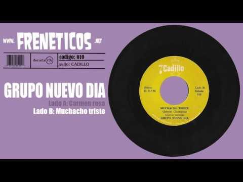 - Grupo Nuevo dia