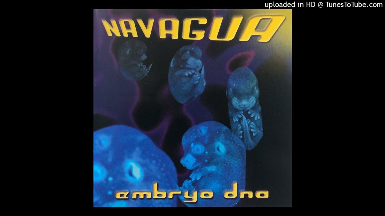 Embryo Dna - Navagua