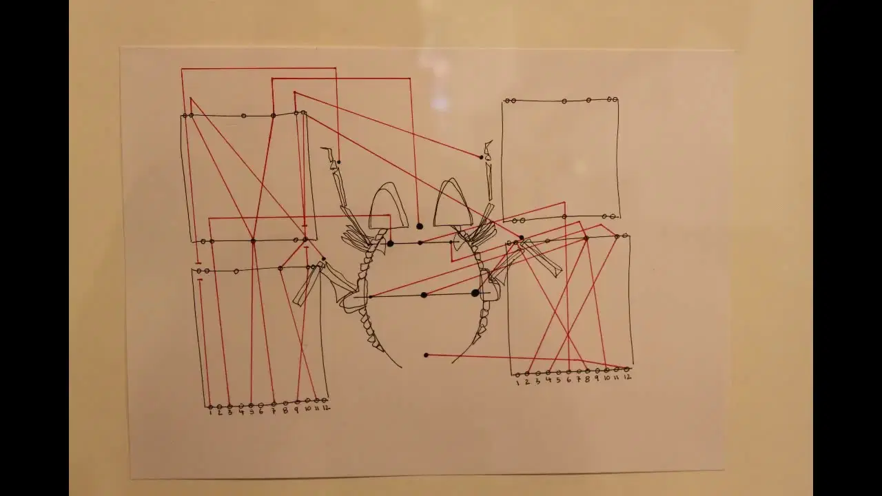 Music Box - Paul Lansky