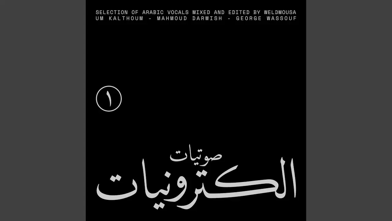 Sawtyat Electronyat - صوتيات الكترونيات - weldmousa