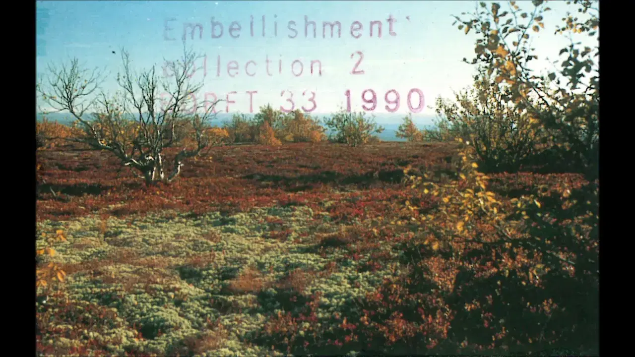 Various Artists - Embellishment Collection 2 - Spilding
