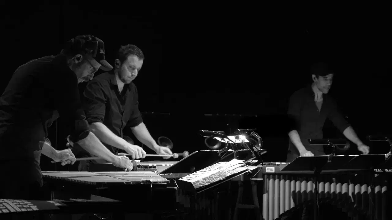 Erased Tapes 17 - Tristan Perich, Ensemble 0