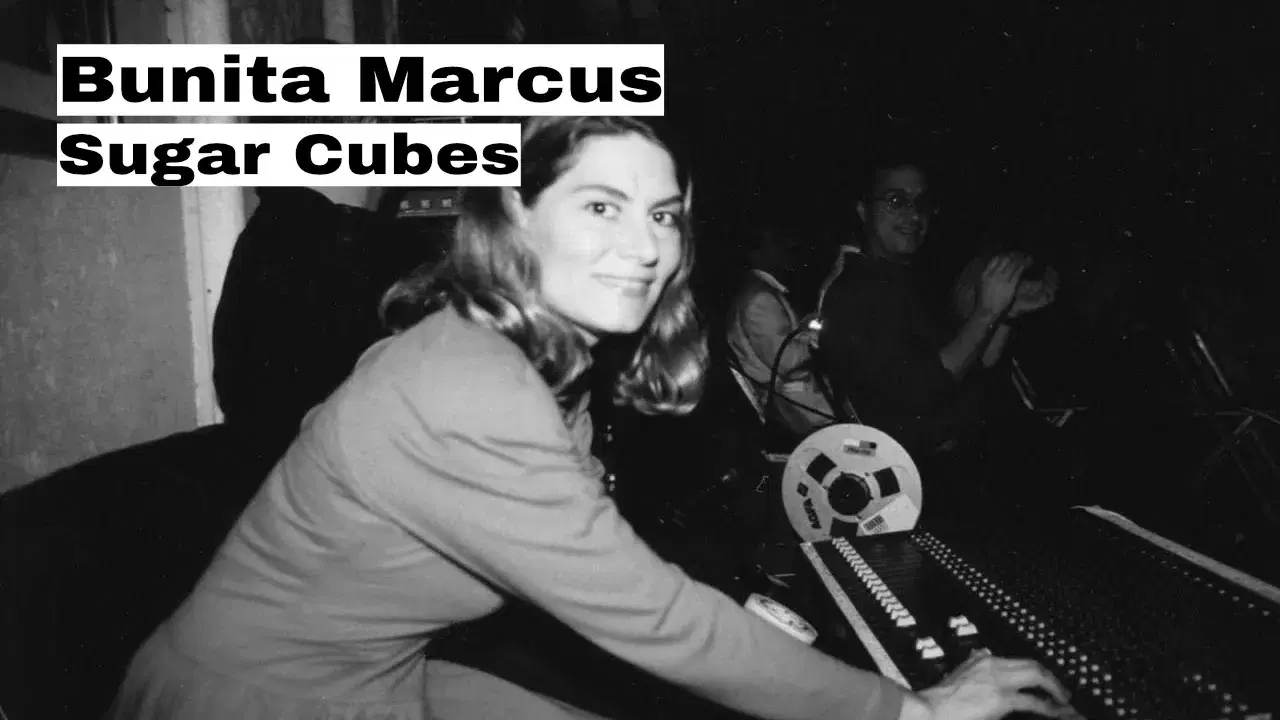 Sugar Cubes - Bunita Marcus