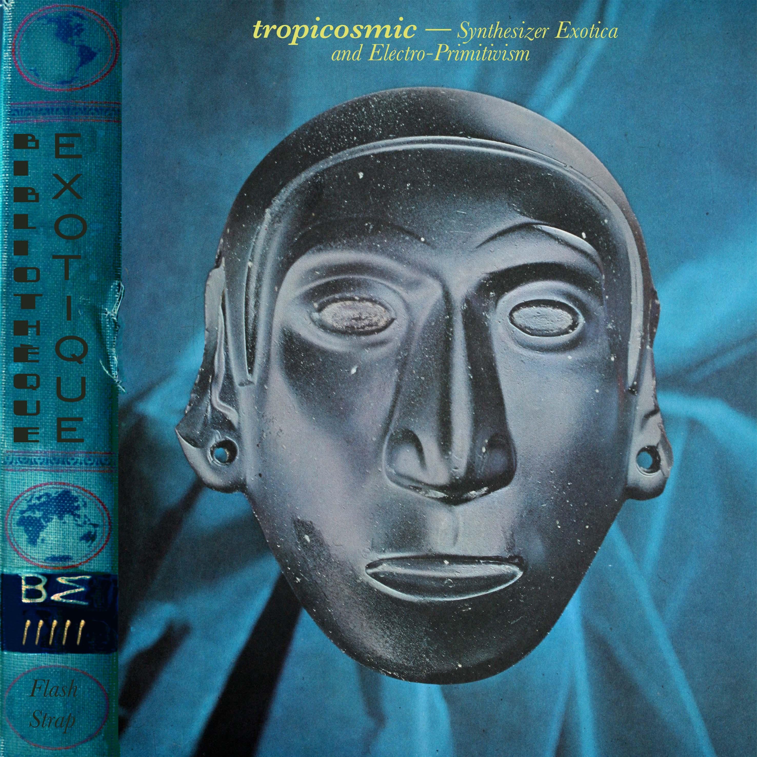 Bibliotheque Exotique Vol. 5: Tropicosmic - Synthesizer Exotica and Electro-Primitivism - Armand Frydman