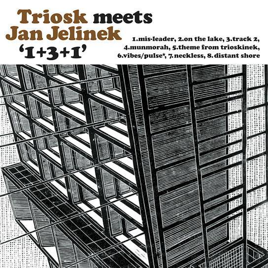 1+3+1 - Triosk & Jan Jelinek