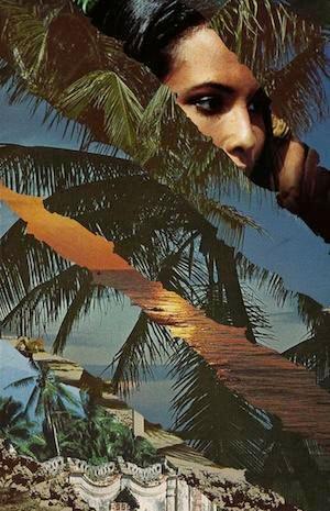 Vendetta In Paradise - Fluorescent Heights