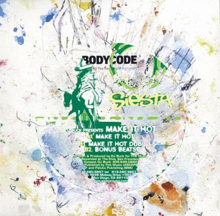 What Did You Say DJ Buck?! (Audion Mash) - Bodycode, DJ Buck