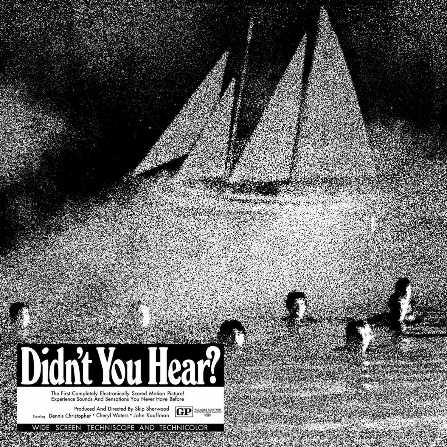 Didn't You Hear? - Mort Garson