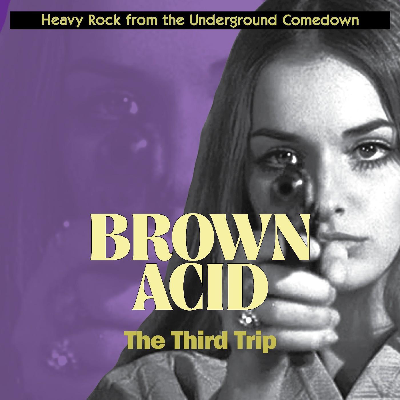 Brown Acid "The Third Trip" - Flash Beverage