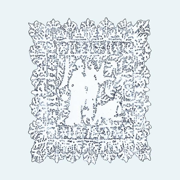 Always plus Forever - Time Cow