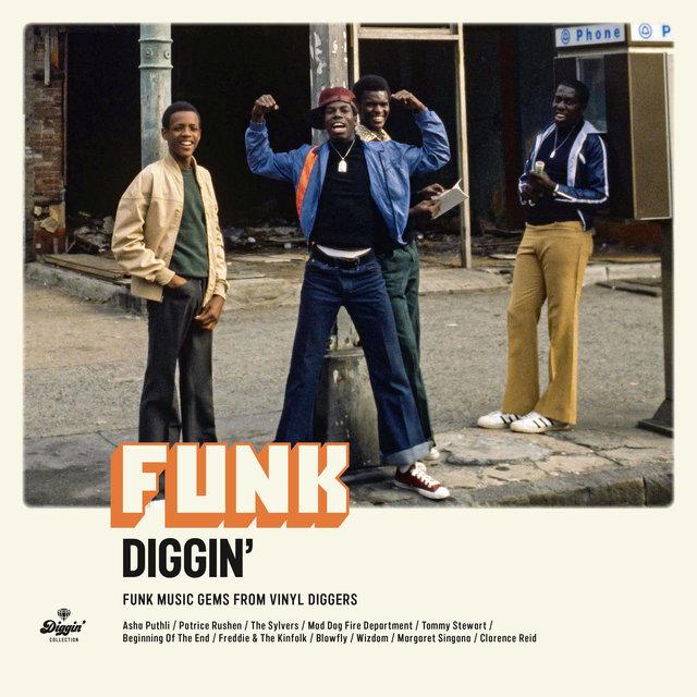Funk Diggin' : Funk Music Gems From Vinyl Diggers - Margaret Singana