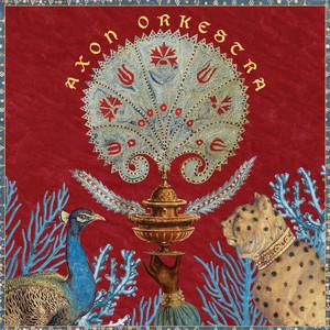 Axon Orkestra - Axon Orkestra