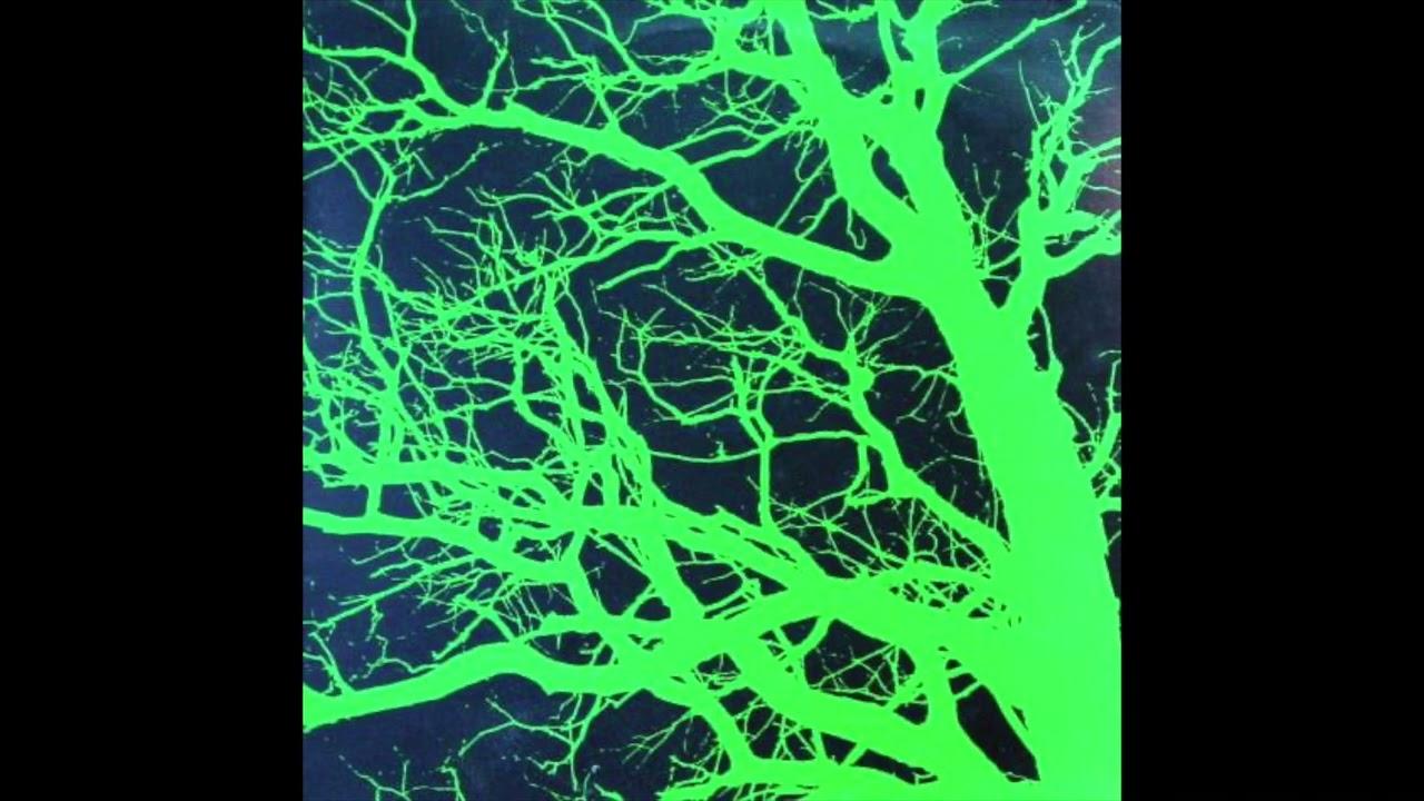 Flowmotion - Metamorphosis