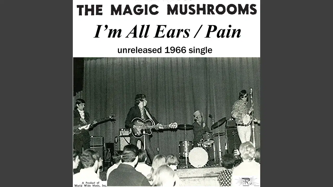 I'm All Ears - The Magic Mushrooms