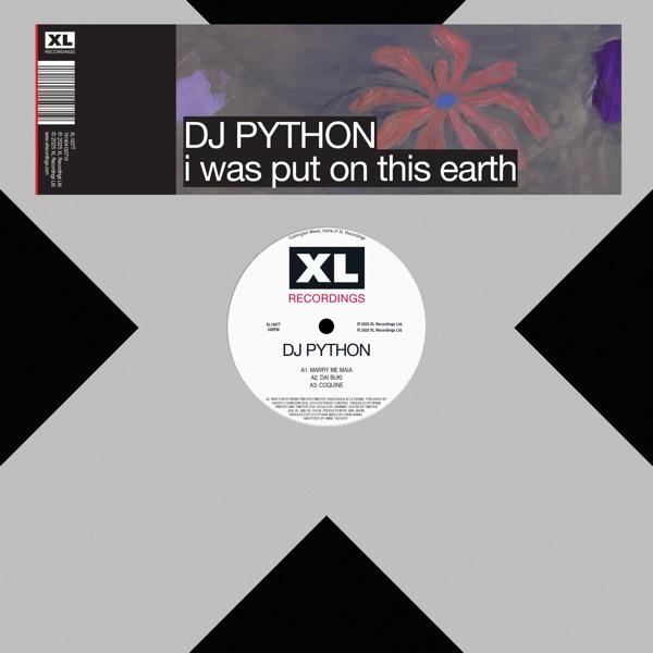 i was put on this earth - EP - DJ Python & Isabella Lovestory