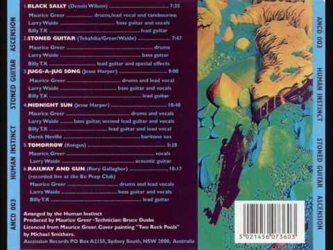 Stoned Guitar - Human Instinct