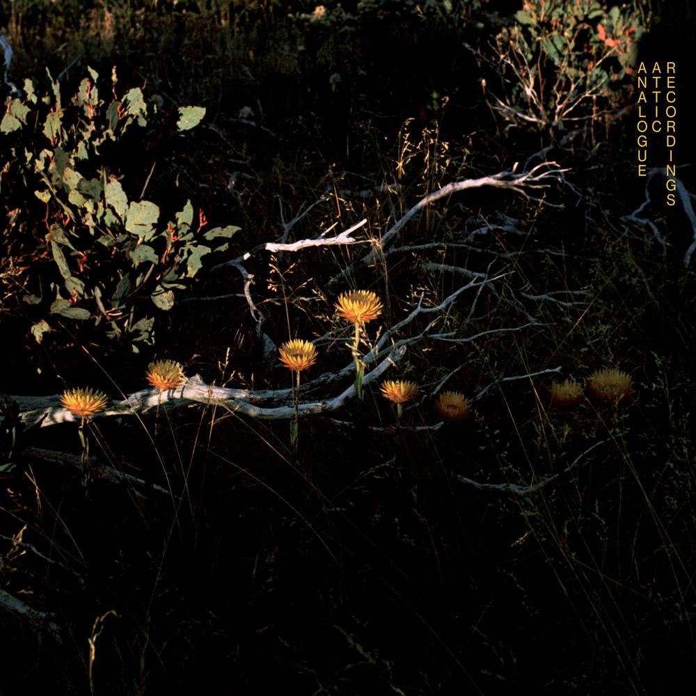 Sean La'Brooy - Out Moving Windows LP - Sean La'Brooy