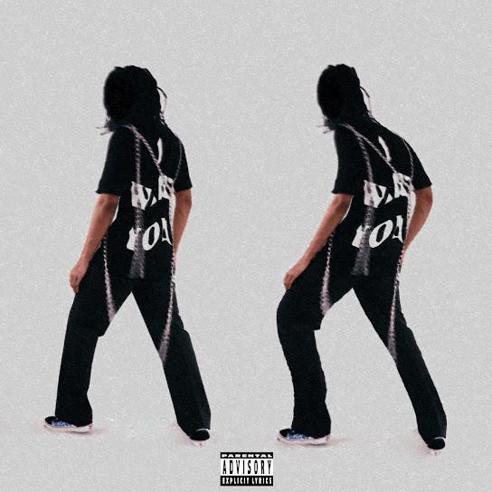 Never Coming Down - INDIGOCHILDRICK