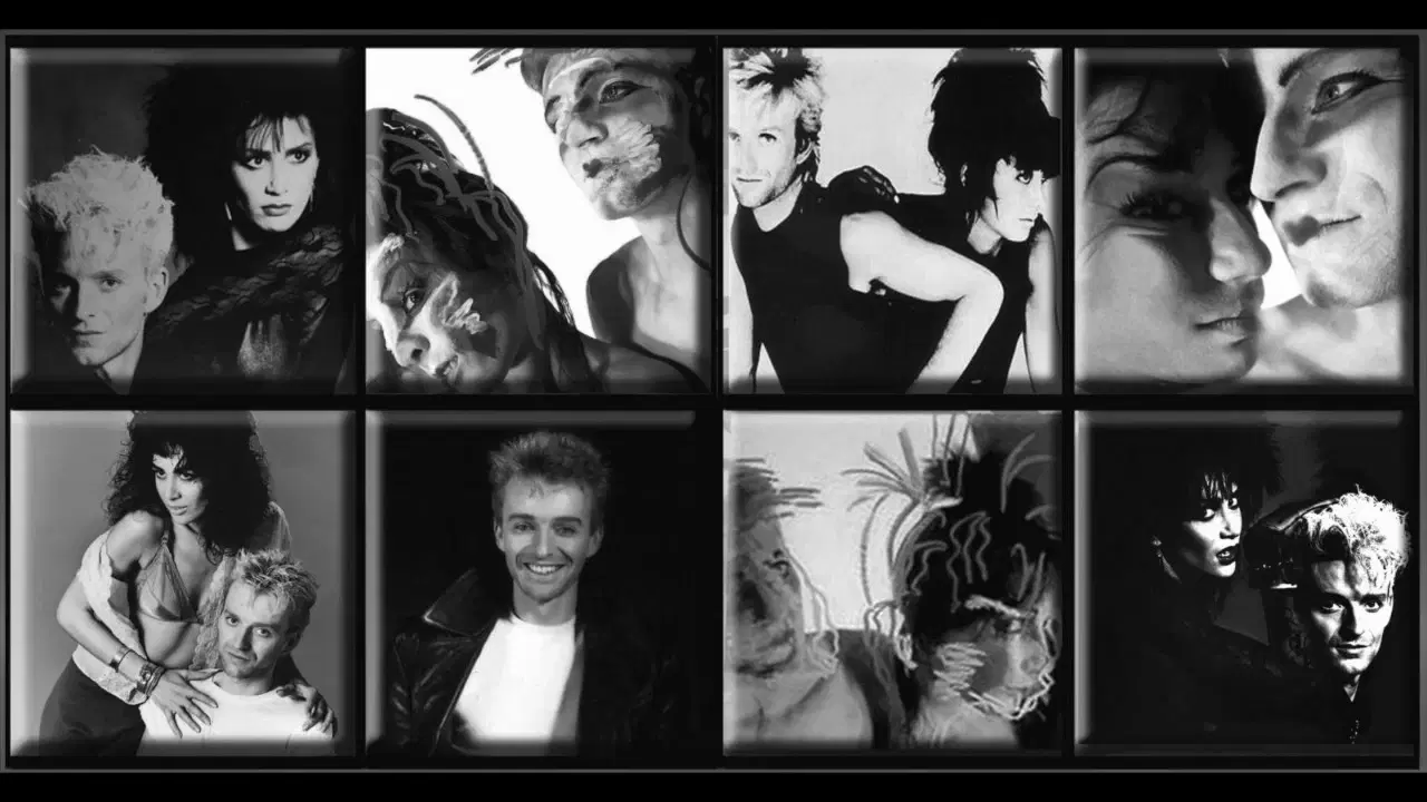 ‎Ask Me to Stay 12" - Vicious Pink Phenomena