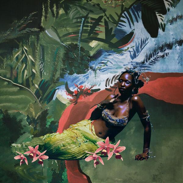 Align With Nature's Intelligence - Muva of Earth
