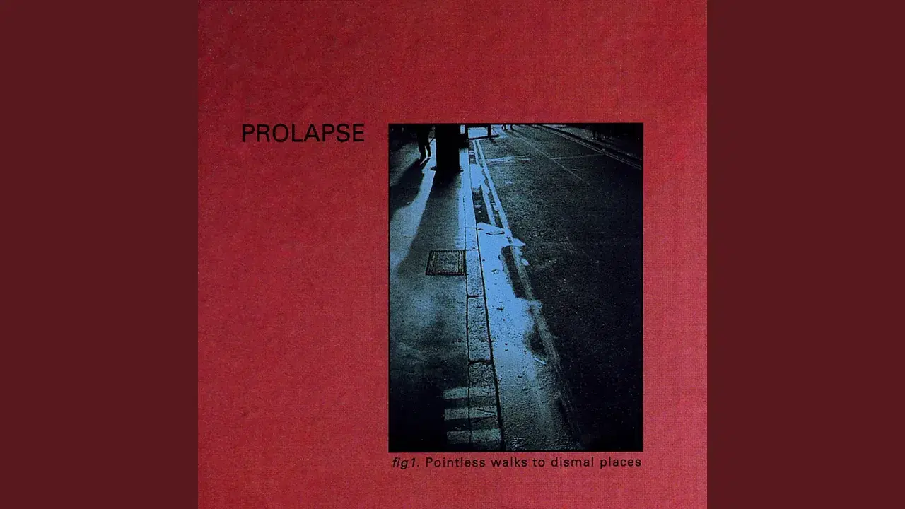 Pointless Walks To Dismal Places - Prolapse
