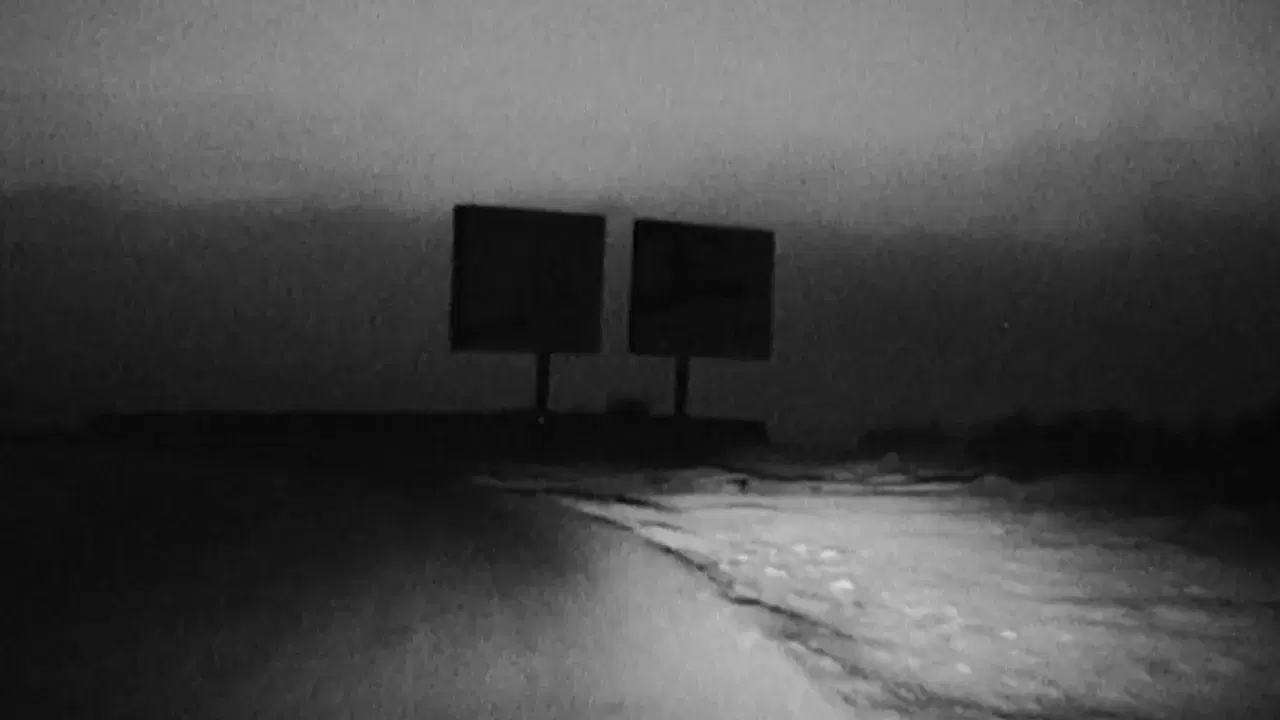  - Oiseaux-Temp