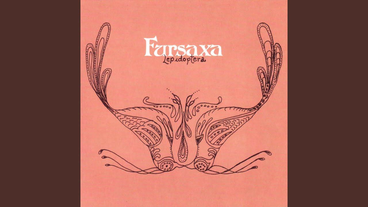Lepidoptera - Fursaxa