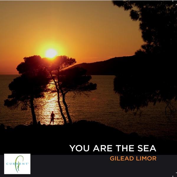 You Are The Sea - Gilead Limor