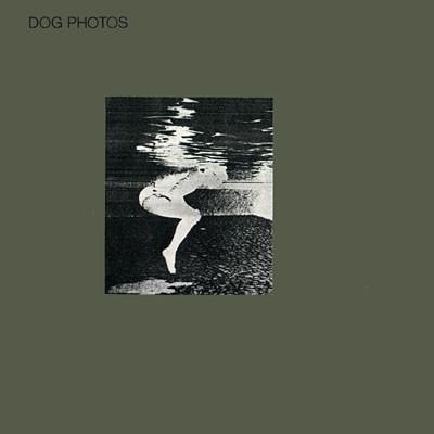 Dog Photos - Laughing Hands