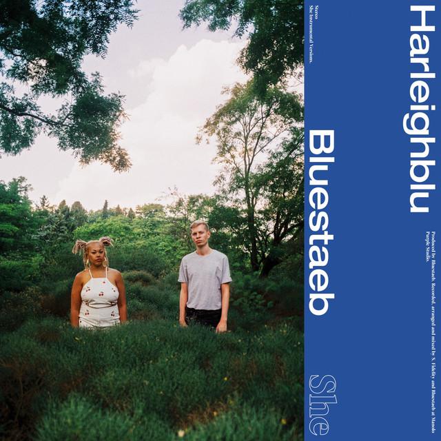 She (Instrumentals) - Bluestaeb