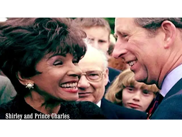 Never, Never, Never - Shirley Bassey