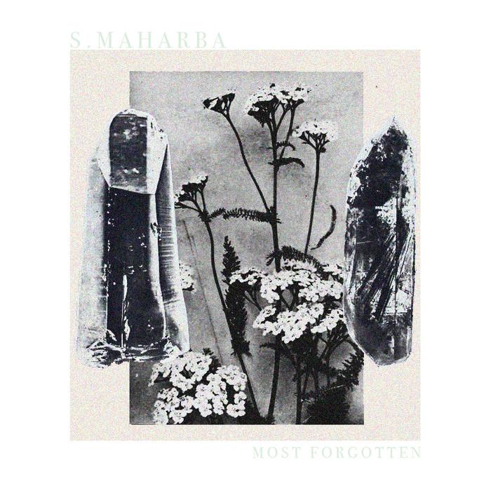 Most Forgotten - S.MAHARBA
