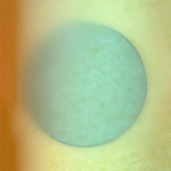 Tidal Love Conversation In That Familiar Golden Orchard - Andy Bell & Masal