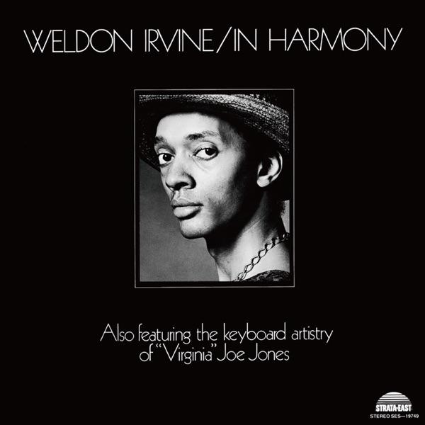 Live In Nashville April 3, 1999 - Weldon Irvine