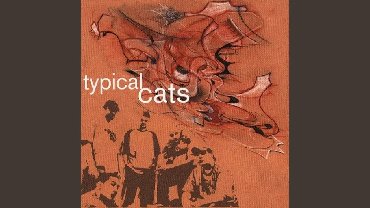 Typical Cats - Typical Cats