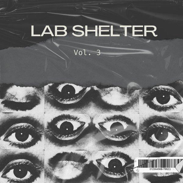 LAB SHELTER VOL 3 - Timmy Regisford