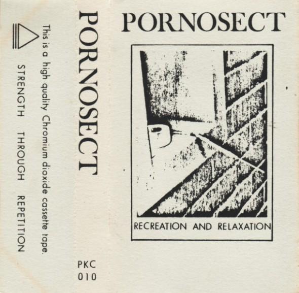 Recreation And Relaxation - Pornosect