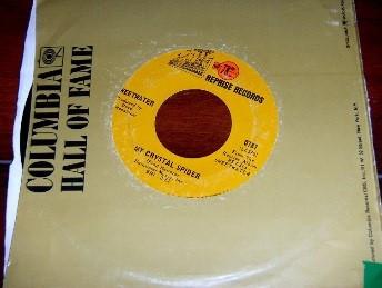 What's Wrong / My Crystal Spider  - Sweetwater