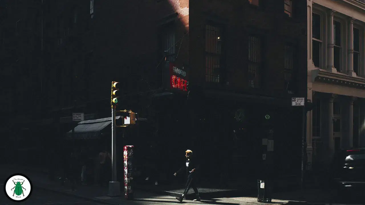 Allo Love: Vol. 8 - Fox, IAMDDB, The Mouse Outfit