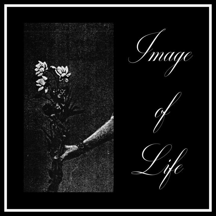 Amended by Silence - Image Of Life