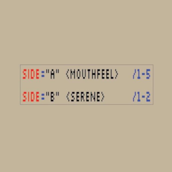 Mouthfeel / Serene - Sam Gendel & Josiah Steinbrick