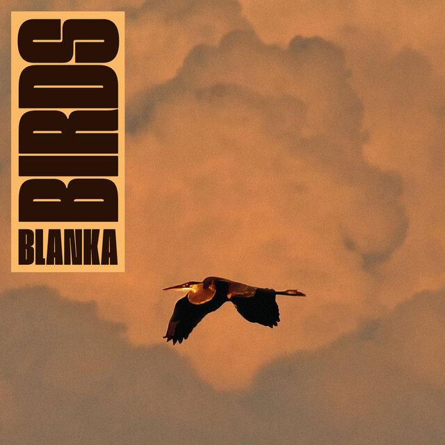 Birds - Blanka, Papa Rua