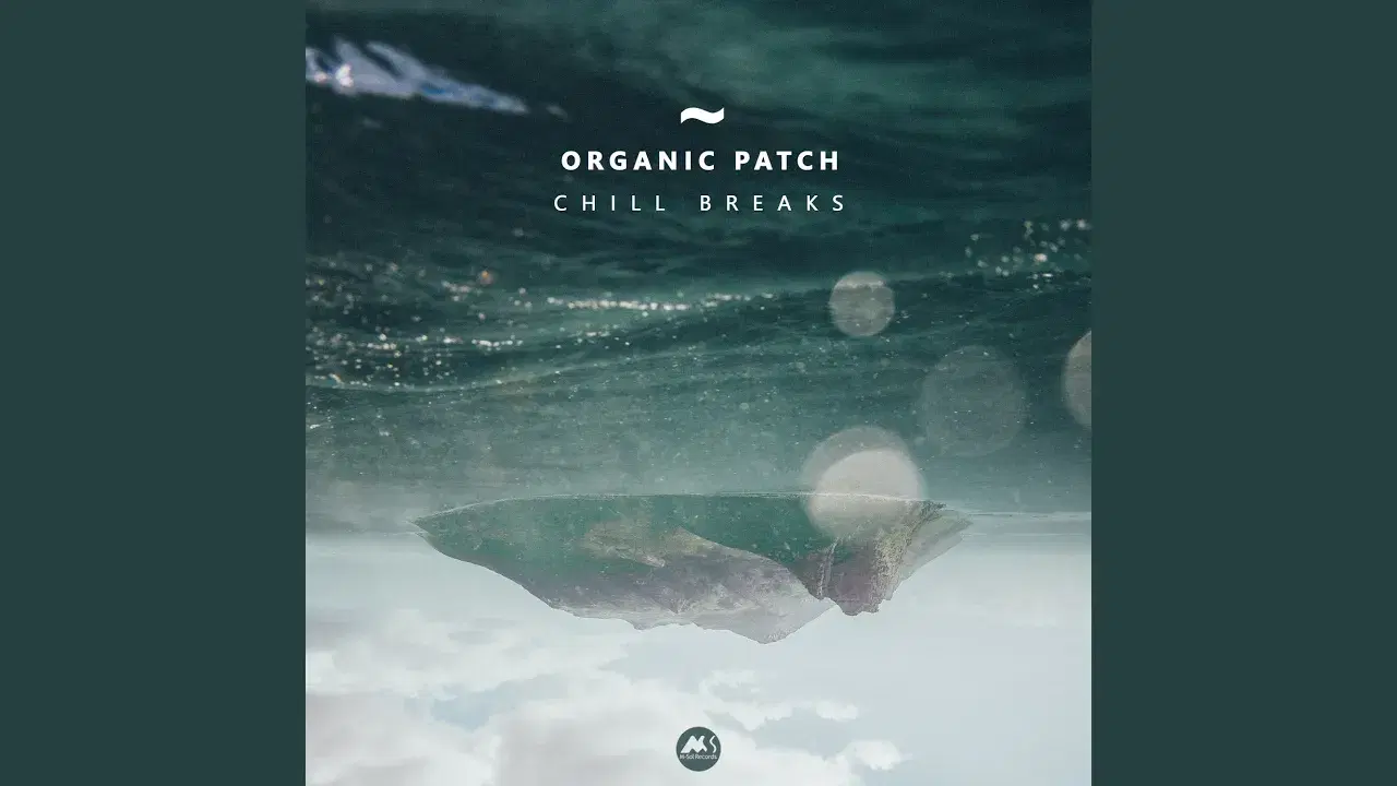 Chill Breaks - Organic Patch